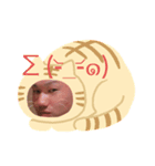 あらにてぃー2（個別スタンプ：5）