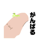 日常に寄り添う虫たちの愉快な仲間たち。（個別スタンプ：34）