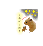 ♡ハム日和2♡（個別スタンプ：4）