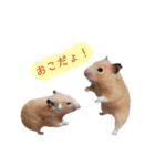 ♡ハム日和2♡（個別スタンプ：10）