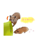 ♡ハム日和2♡（個別スタンプ：11）