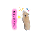 ♡ハム日和2♡（個別スタンプ：13）
