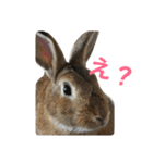 だいずの1日（個別スタンプ：1）