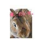 だいずの1日（個別スタンプ：3）