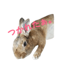 だいずの1日（個別スタンプ：4）