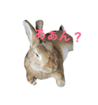 だいずの1日（個別スタンプ：5）