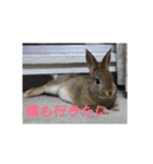 だいずの1日（個別スタンプ：8）