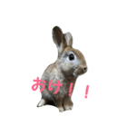 だいずの1日（個別スタンプ：9）