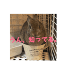 だいずの1日（個別スタンプ：10）