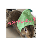 だいずの1日（個別スタンプ：11）