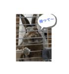 だいずの1日（個別スタンプ：13）