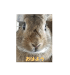 だいずの1日（個別スタンプ：15）