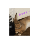 だいずの1日（個別スタンプ：16）