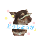 スムチー くるみ姫（個別スタンプ：2）