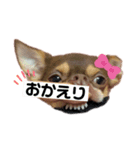 スムチー くるみ姫（個別スタンプ：6）