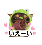 スムチー くるみ姫（個別スタンプ：7）