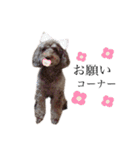 愛犬たいちゃんのスタンプ（個別スタンプ：21）