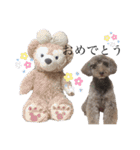愛犬たいちゃんのスタンプ（個別スタンプ：30）