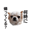 くうさんの為のスタンプ（個別スタンプ：1）