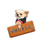 くうさんの為のスタンプ（個別スタンプ：5）