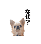 くうさんの為のスタンプ（個別スタンプ：6）