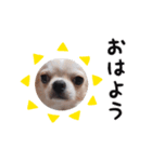 くうさんの為のスタンプ（個別スタンプ：7）