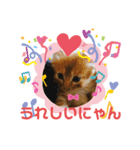 かりん にゃん語（個別スタンプ：1）