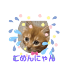 かりん にゃん語（個別スタンプ：2）