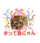 かりん にゃん語（個別スタンプ：4）