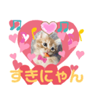 かりん にゃん語（個別スタンプ：6）