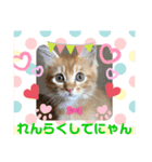 かりん にゃん語（個別スタンプ：8）