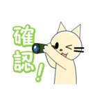 かわいい猫の日常会話（個別スタンプ：21）