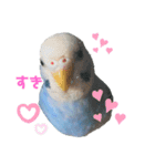 うちのインコのそら子です。（個別スタンプ：14）