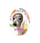 sophia grace（個別スタンプ：2）