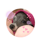 sophia grace（個別スタンプ：5）
