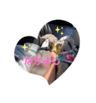 sophia grace（個別スタンプ：6）