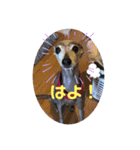 sophia grace（個別スタンプ：7）