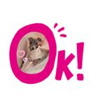 sophia grace（個別スタンプ：8）
