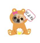 Chihuahua4（個別スタンプ：8）