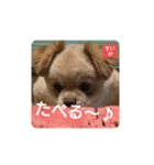 すいか！いいね！（個別スタンプ：2）