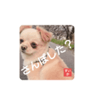 すいか！いいね！（個別スタンプ：5）