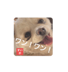 すいか！いいね！（個別スタンプ：7）