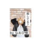 俺見ずに、誰みんの？vol.2（個別スタンプ：4）