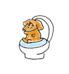 犬のchap。 ver.1（個別スタンプ：6）