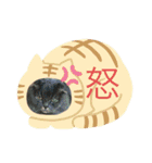 千と珀にゃん（個別スタンプ：4）