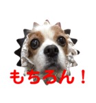 cavalier可愛いリボン（個別スタンプ：11）