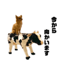 いのまた動物園Ver.Z（個別スタンプ：9）