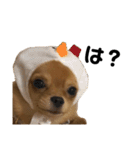 いのまた動物園Ver.Z（個別スタンプ：18）