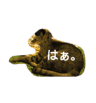 猫の考え（個別スタンプ：9）