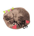 マメちゃんスタンプです（個別スタンプ：2）